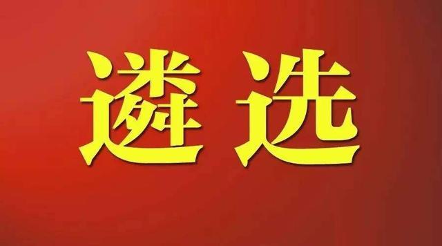 遴选360人，其中处级以上干部210人，年龄放宽，范围扩大